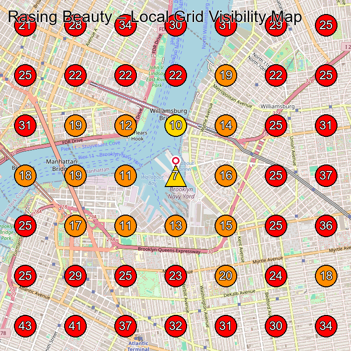 Rasing Beauty GeoGrid visibility map for Facial Spa in Brooklyn